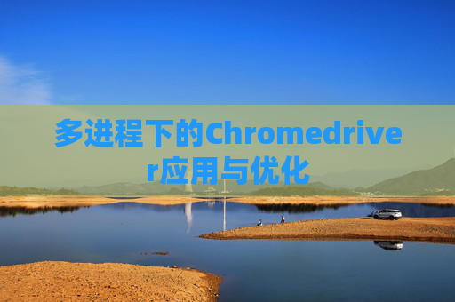 多进程下的Chromedriver应用与优化